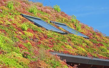 Wheelton living roof systems